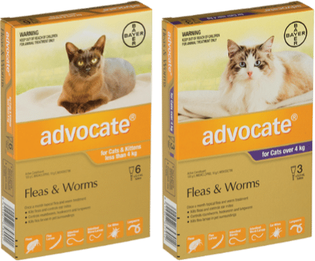 cat flea and worm treatment combined