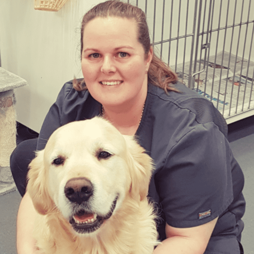 Pet Animal Veterinarians Cambridge Veterinary New Zealand