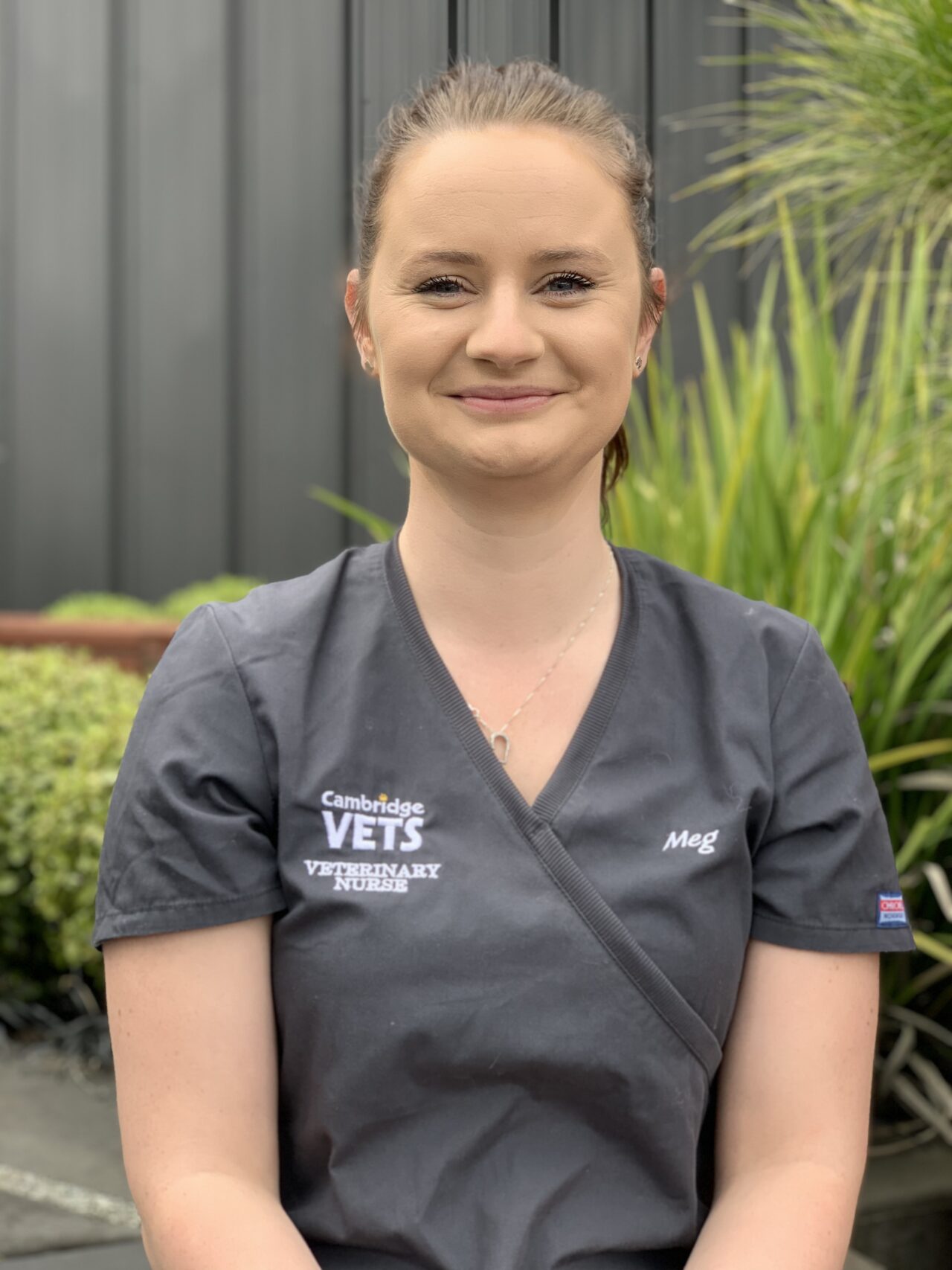 Pet Animal Veterinarians Cambridge Veterinary New Zealand